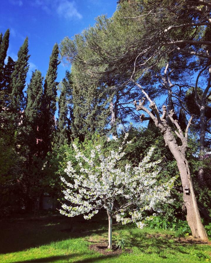 מונפלייה Maison La Roseliere מראה חיצוני תמונה